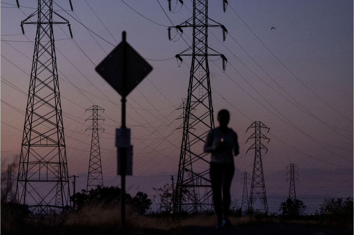 Risk to the Electric Grid