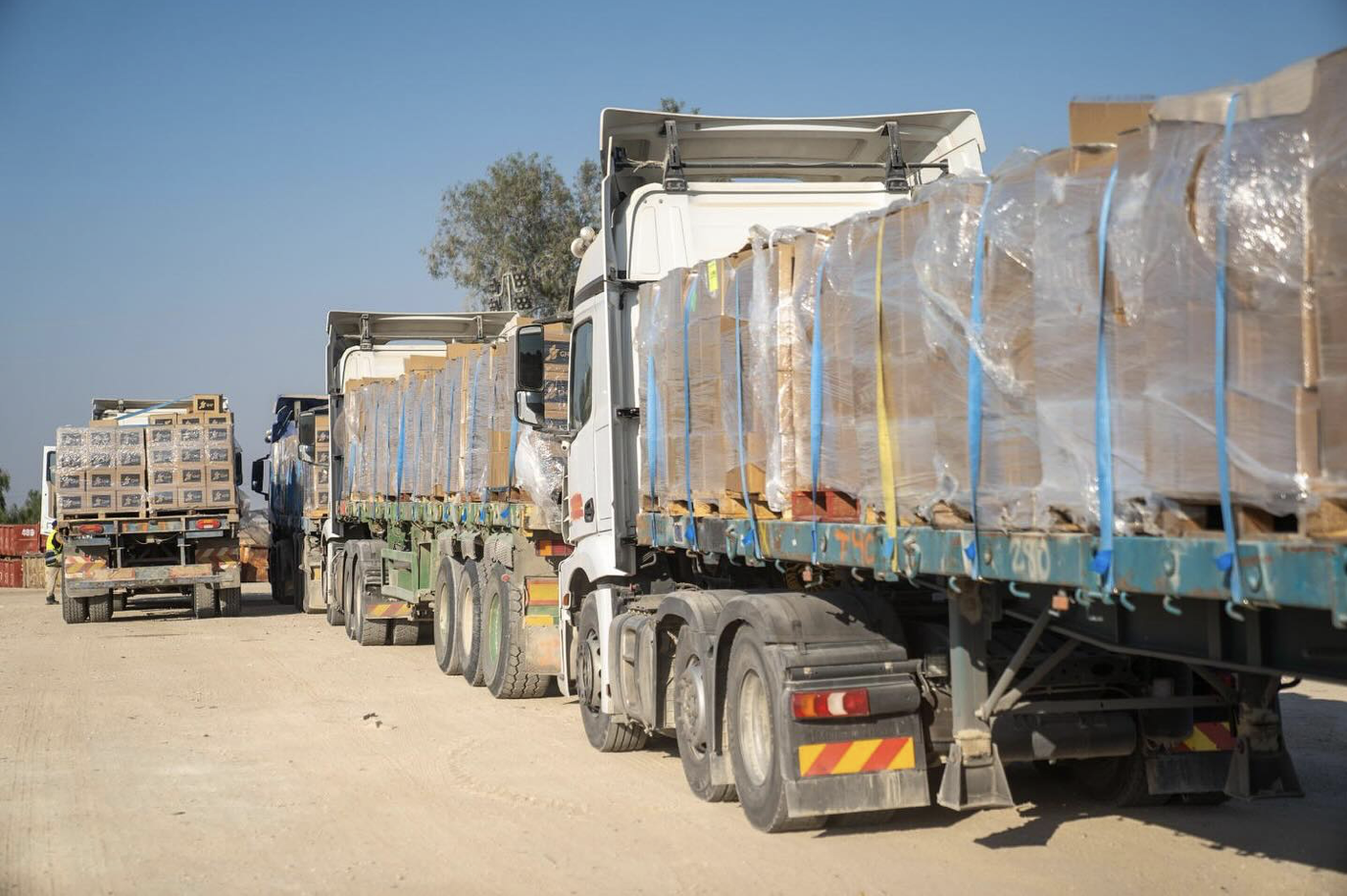 Enablers of Hamas’s Starvation Strategy