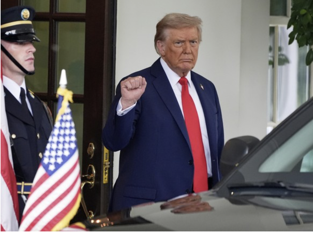 Trump on Patrol