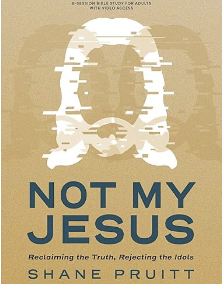 Book Cover - Not My Jesus