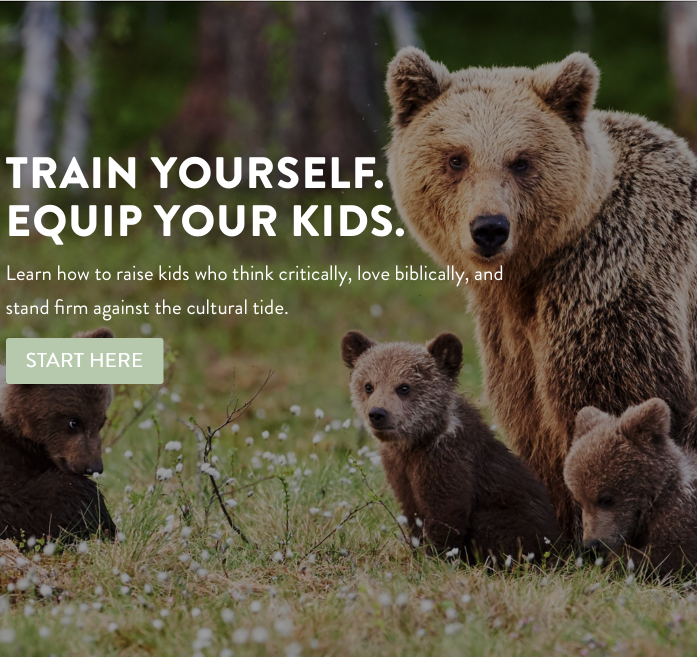 Mama Bear Apologetics