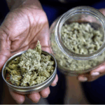 Marijuana