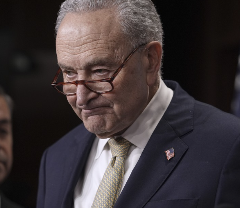 The Democrat Shutdown for Dummies The Democrat Shutdown for Dummies