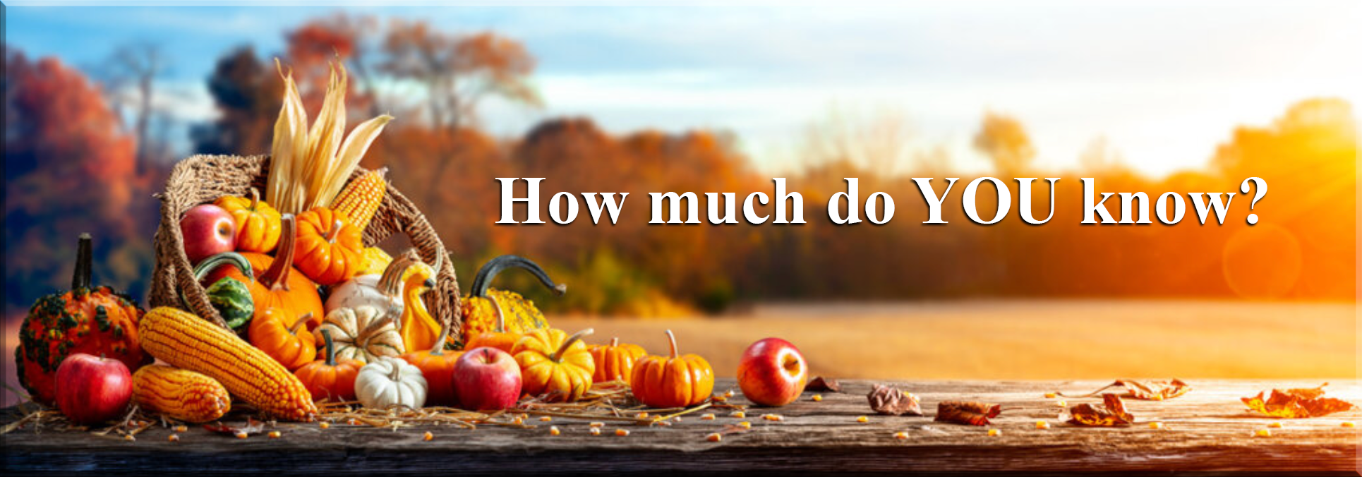 Thanksgiving Quiz