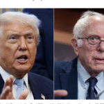 This Way to the Socialist Ball