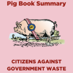 Feeding the Government Pig