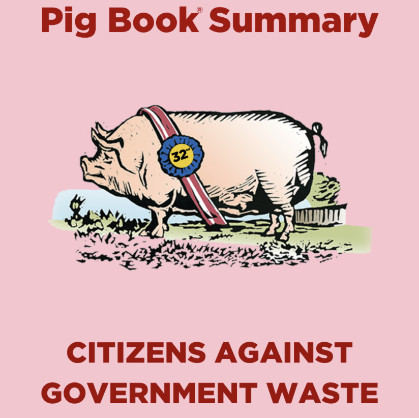 Feeding the Government Pig Feeding the Government Pig